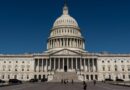 What AI companies want for the millions they're spending on elections